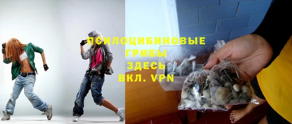 кокс Алексин